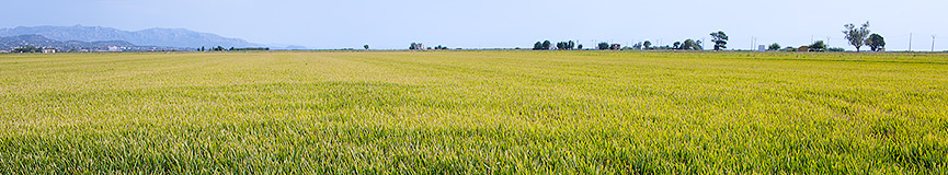 Random header image... Refresh for more!