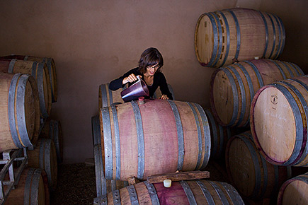 Mar refilling 2008's vintage's barrels.