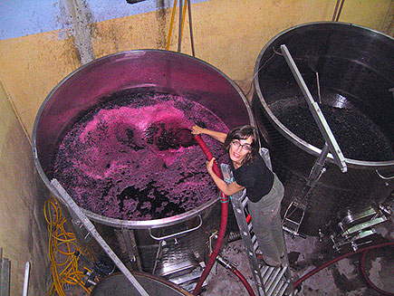 Mar "remounting" a stainless-steel vat.