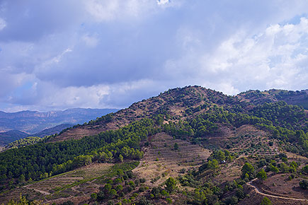 Landscape near Torroja, Priorat.