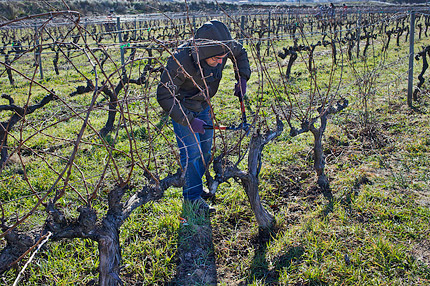 Isaac pruning
