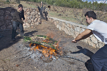 Grilling the calçots